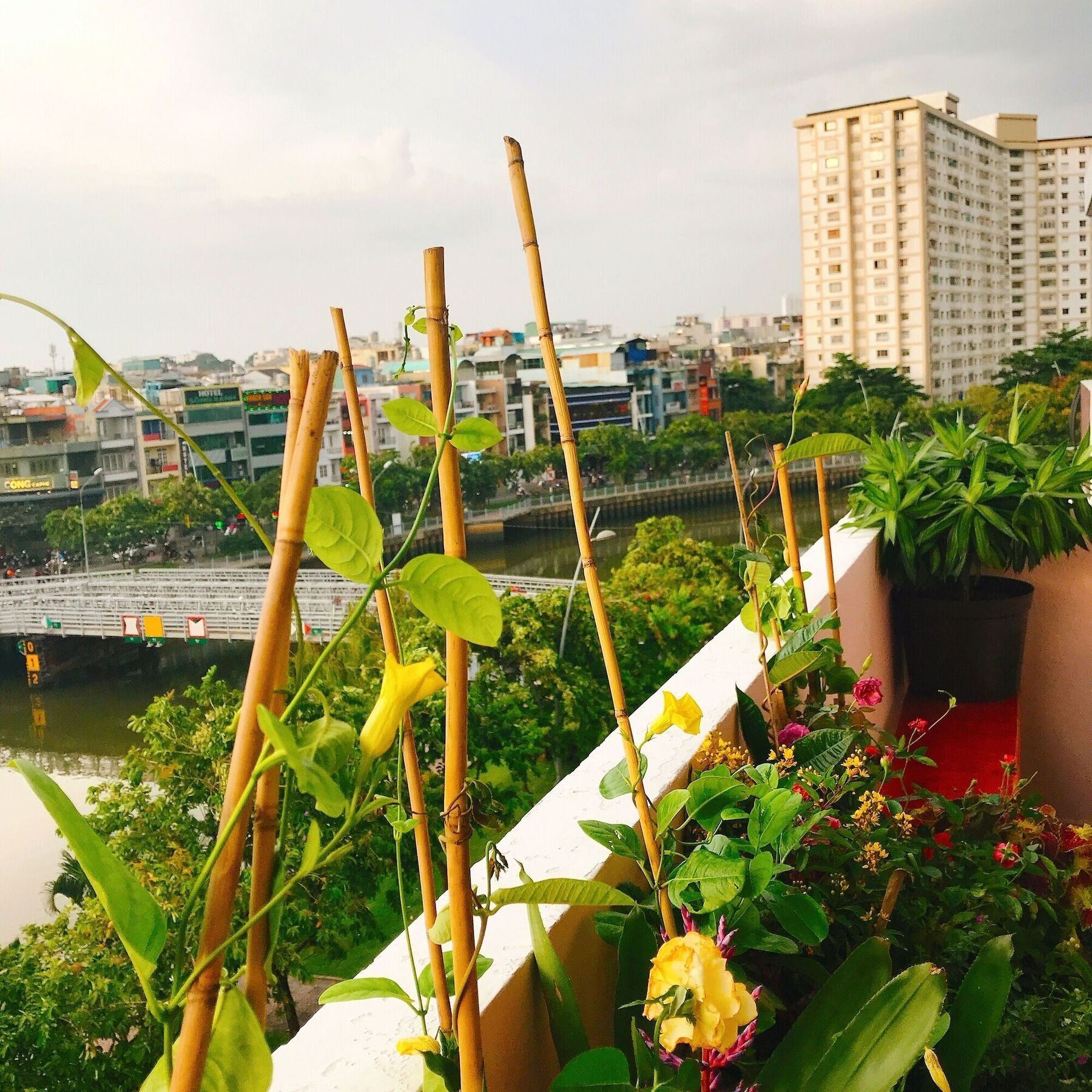 Bee Tropicool Apartment Ho Chi Minh City Exterior photo